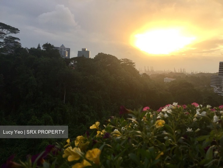 Blk 114 Depot Road (Bukit Merah), HDB 5 Rooms #172218892